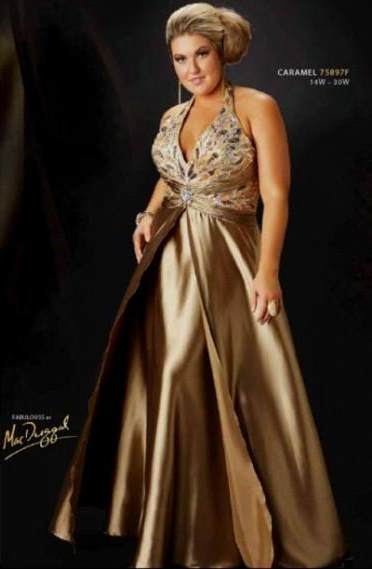 plus size evening gowns 2018-2019