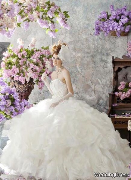 Stella de Libero Wedding Dresses                                      The Lilac Bridal Collection