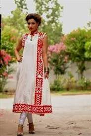 applique designs for pakistani dresses