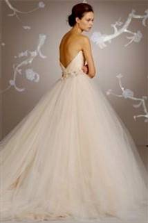 ball gown wedding dresses vera wang