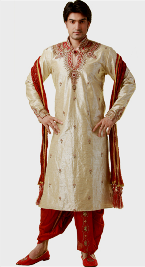 indian wedding dress png