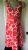 Great Boden Red Floral Cotton Day Dress Size 6L  2018 2019