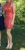 Amazing Sherri Hill Short homecoming prom cocktail beaded Dress size 4 2019